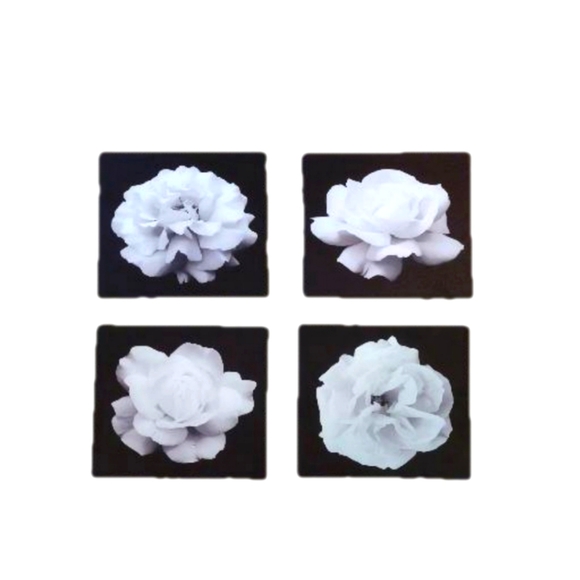 Bundle of 4 Canvas Wall Pictures - Picture 1 of 5